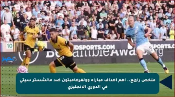 ملخص رائع.. أهم أهداف مباراة وولفرهامبتون ضد مانشستر سيتي في الدوري الإنجليزي